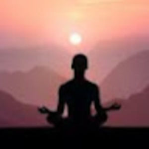 Meet your Posher, Kat